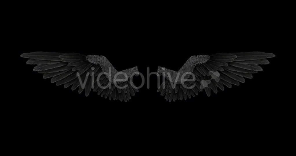 Black Angel Wings With An Alpha Channel Videohive 18603478 Motion Graphics Image 4