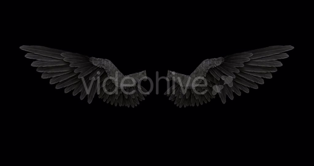 Black Angel Wings With An Alpha Channel Videohive 18603478 Motion Graphics Image 5