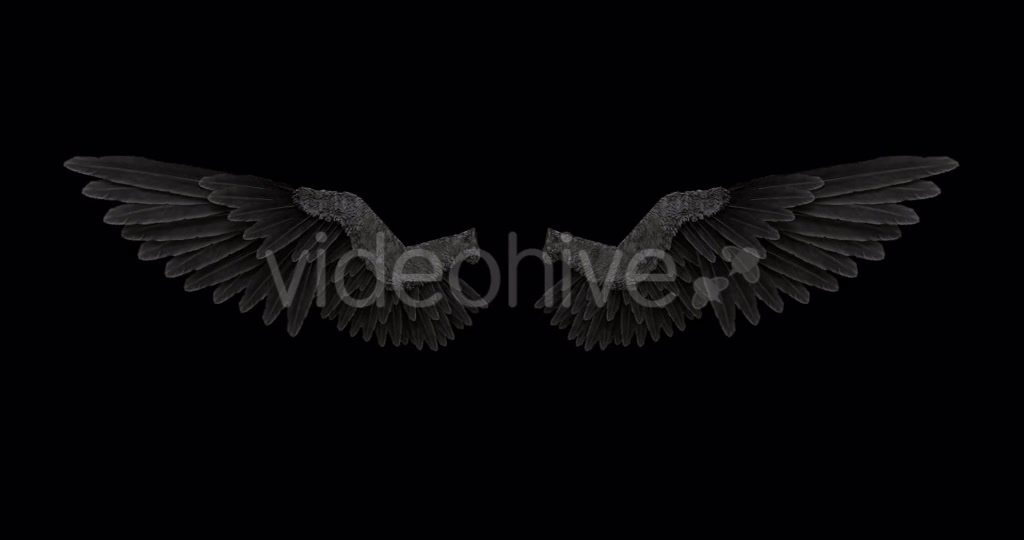 Black Angel Wings With An Alpha Channel Videohive 18603478 Motion Graphics Image 6