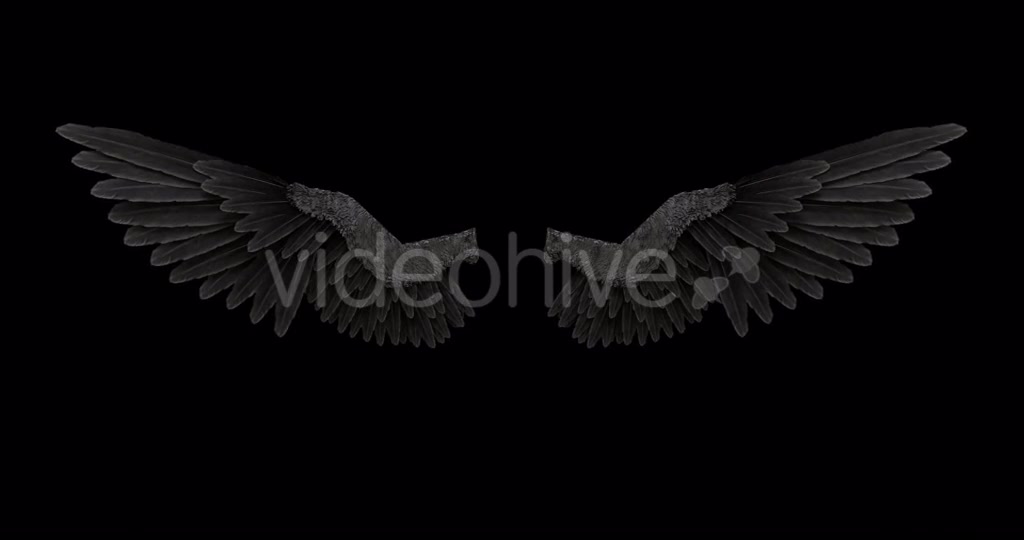 Black Angel Wings With An Alpha Channel Videohive 18603478 Motion Graphics Image 7