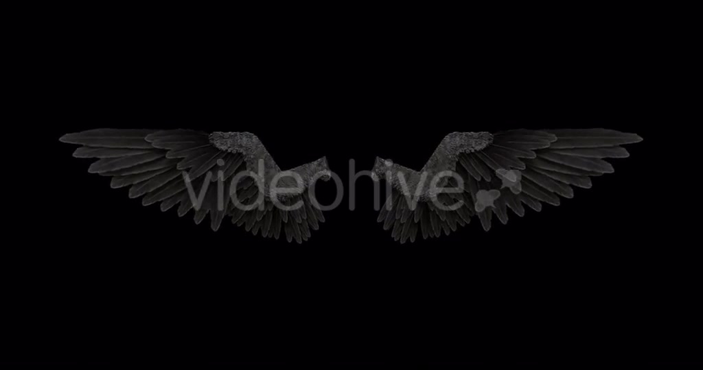 Black Angel Wings With An Alpha Channel Videohive 18603478 Motion Graphics Image 8