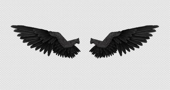 Black Angel Wings With An Alpha Channel - Videohive Download 18603478
