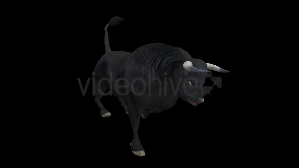 Black Bull Attack Run Pack of 3 Videohive 15250153 Motion Graphics Image 1