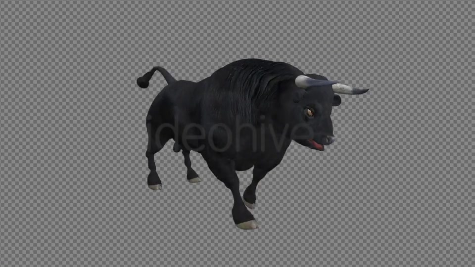 Black Bull Attack Run Pack of 3 Videohive 15250153 Motion Graphics Image 3