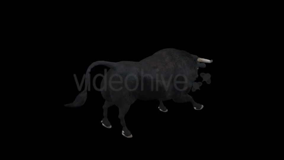 Black Bull Attack Run Pack of 3 Videohive 15250153 Motion Graphics Image 4