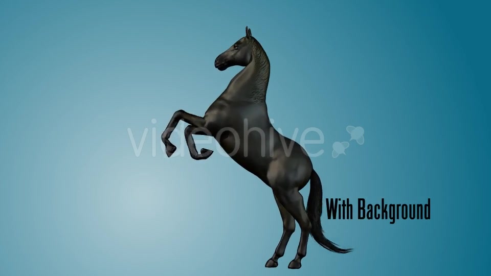 Black Horse Rearing 01 Videohive 19255739 Motion Graphics Image 3