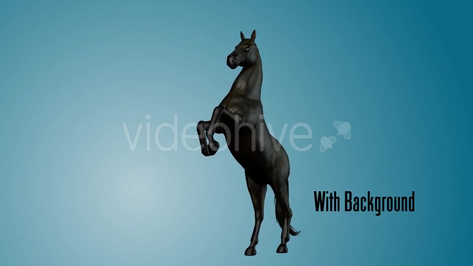 Black Horse Rearing 02 Videohive 19255754 Motion Graphics Image 3