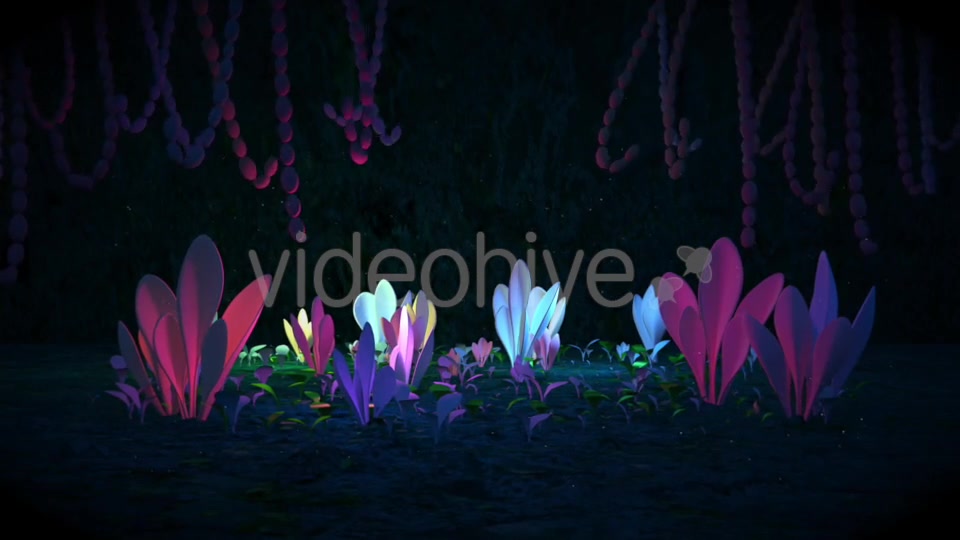 Black Magic Forest Videohive 20578802 Motion Graphics Image 10