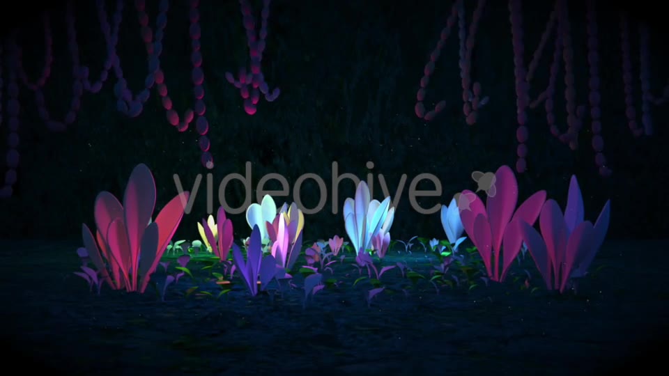 Black Magic Forest Videohive 20578802 Motion Graphics Image 2