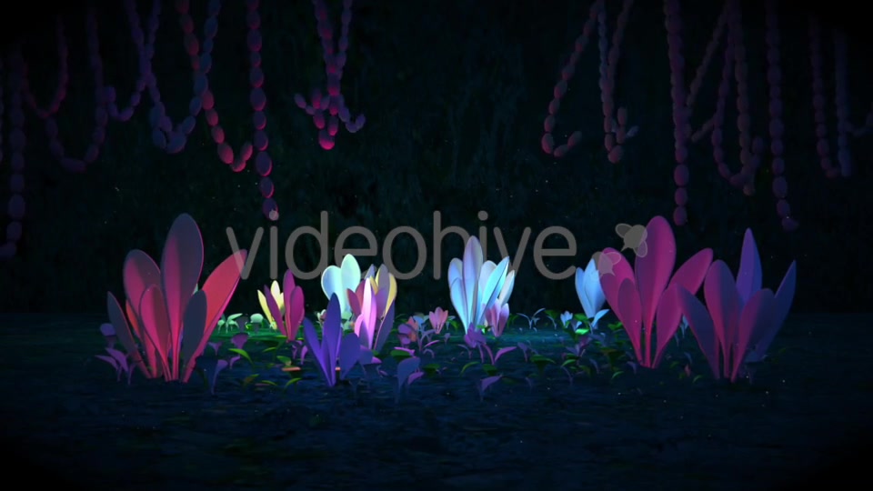 Black Magic Forest Videohive 20578802 Motion Graphics Image 4