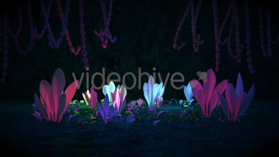 Black Magic Forest Videohive 20578802 Motion Graphics Image 6