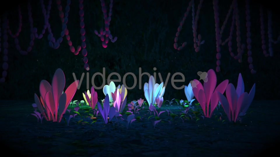 Black Magic Forest Videohive 20578802 Motion Graphics Image 8