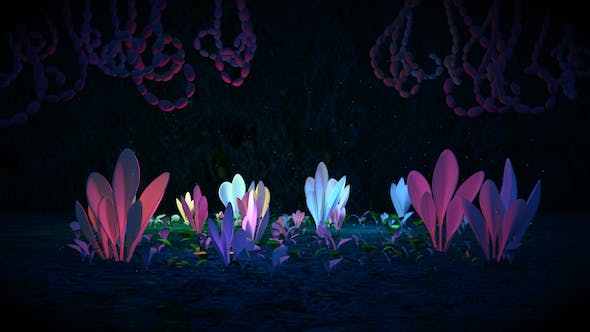 Black Magic Forest - 20578802 Download Videohive