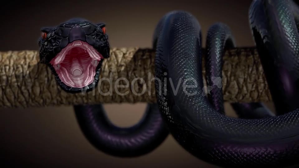 Black Snake in Slow Motion Videohive 20817452 Motion Graphics Image 2