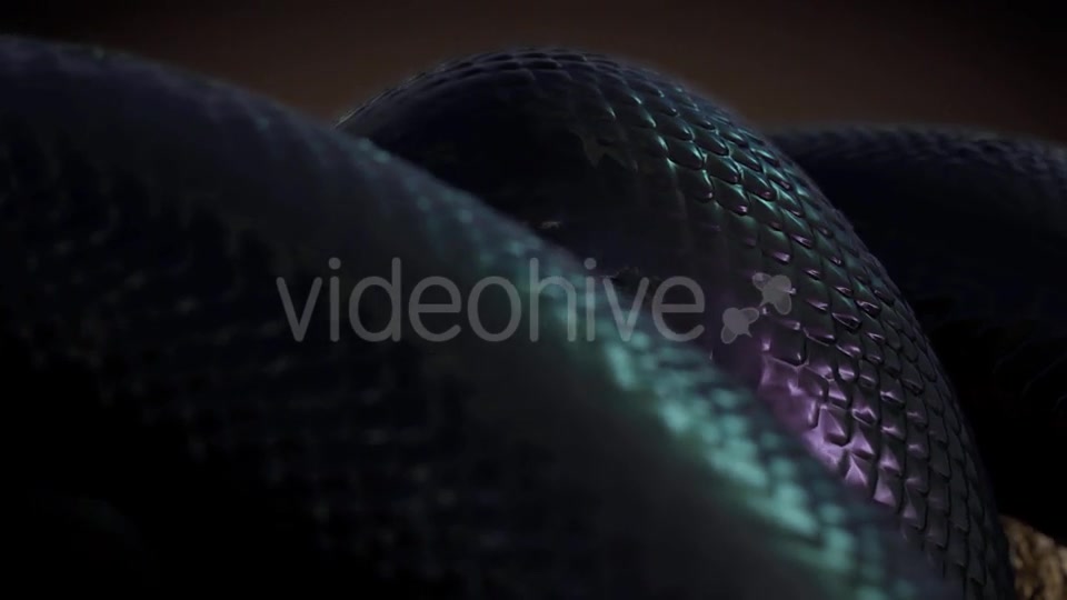 Black Snake in Slow Motion Videohive 20817452 Motion Graphics Image 4