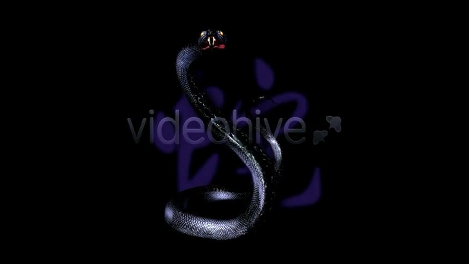 Black Water Snake Videohive 3738982 Motion Graphics Image 1