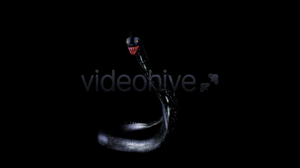 Black Water Snake Videohive 3738982 Motion Graphics Image 11