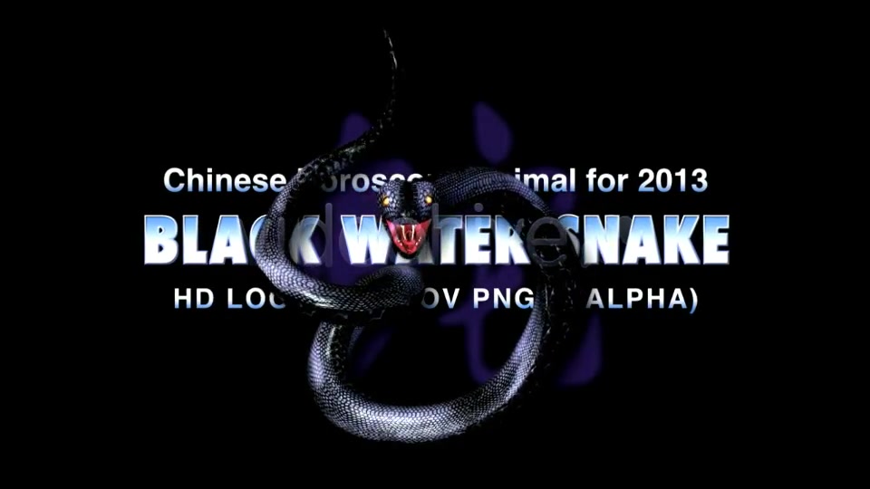 Black Water Snake Videohive 3738982 Motion Graphics Image 3