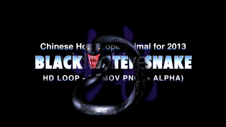 Black Water Snake Videohive 3738982 Motion Graphics Image 4