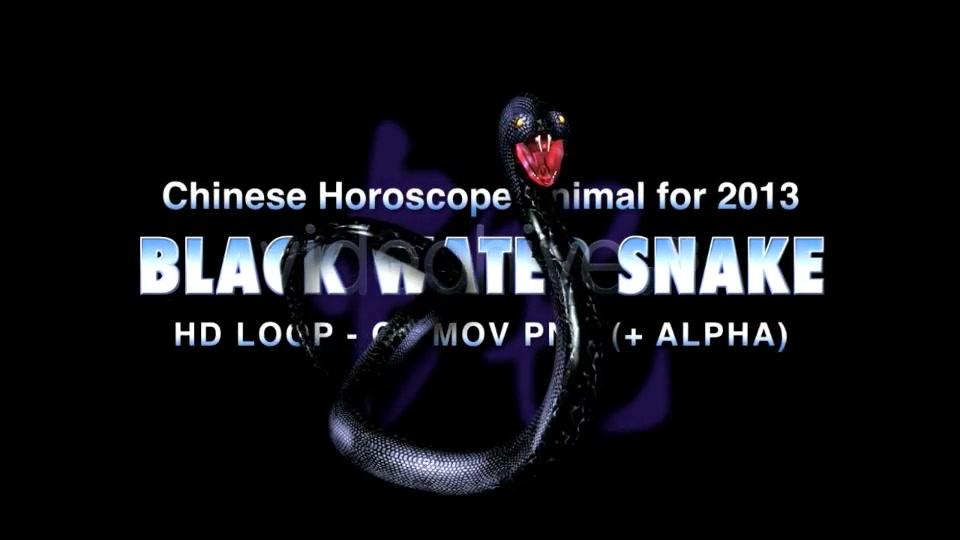 Black Water Snake Videohive 3738982 Motion Graphics Image 5