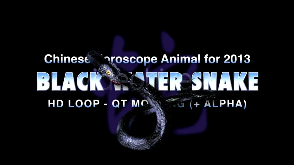 Black Water Snake Videohive 3738982 Motion Graphics Image 7