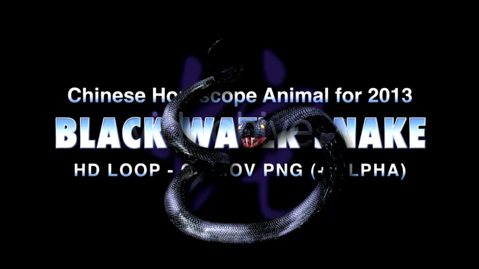 Black Water Snake Videohive 3738982 Motion Graphics Image 8