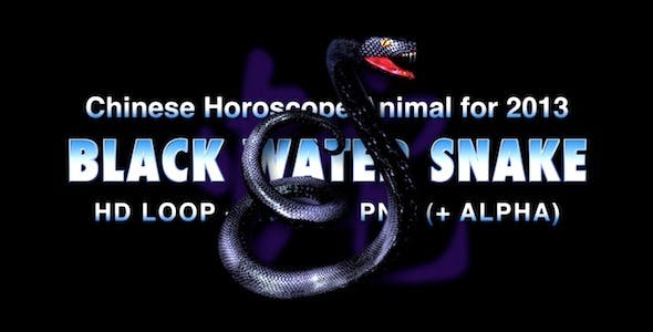 Black Water Snake - 3738982 Videohive Download