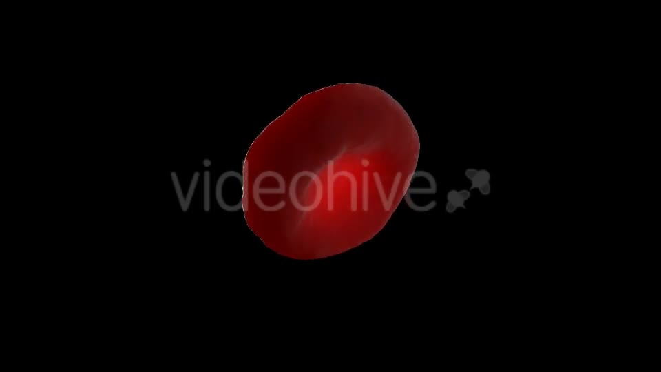 Blood Cell Videohive 21155740 Motion Graphics Image 1