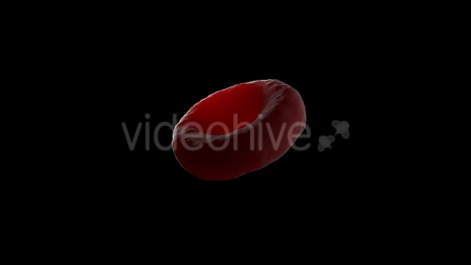 Blood Cell Videohive 21155740 Motion Graphics Image 5