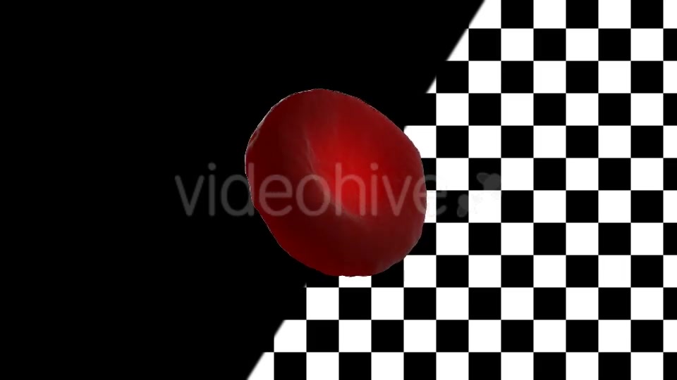 Blood Cell Videohive 21155740 Motion Graphics Image 7