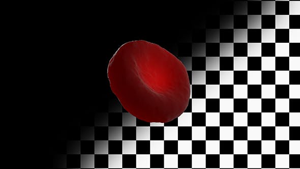 Blood Cell - Videohive Download 21155740
