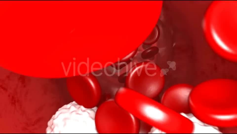 Blood Flow Videohive 20144474 Motion Graphics Image 1