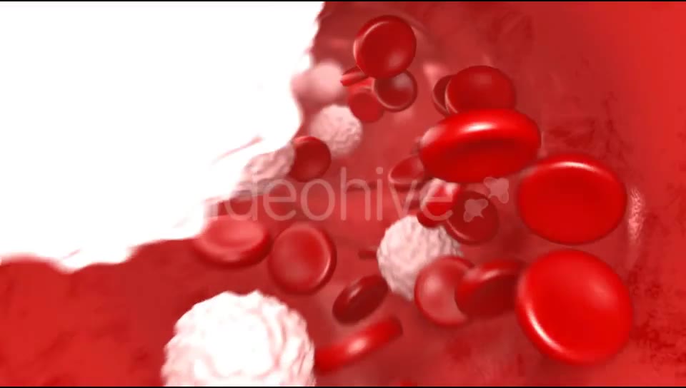 Blood Flow Videohive 20144474 Motion Graphics Image 2
