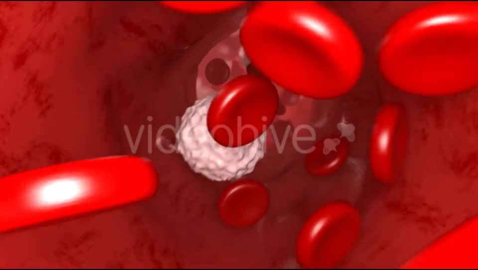 Blood Flow Videohive 20144474 Motion Graphics Image 3
