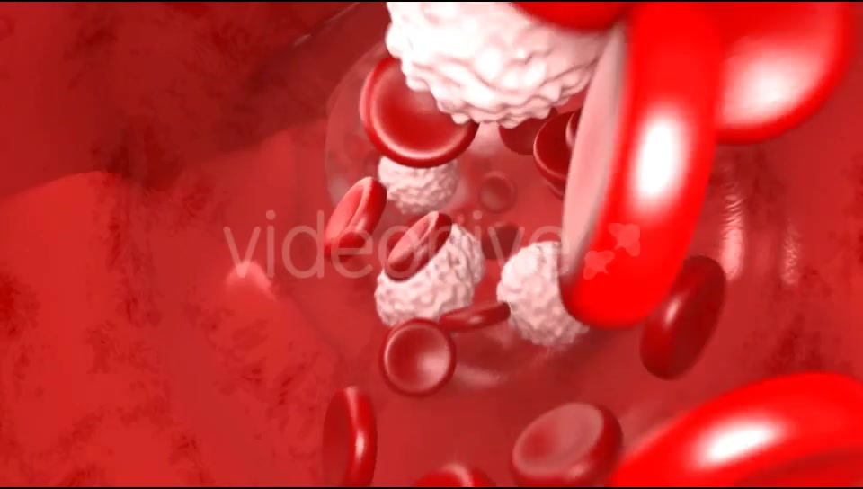 Blood Flow Videohive 20144474 Motion Graphics Image 4