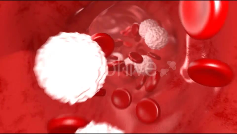 Blood Flow Videohive 20144474 Motion Graphics Image 5