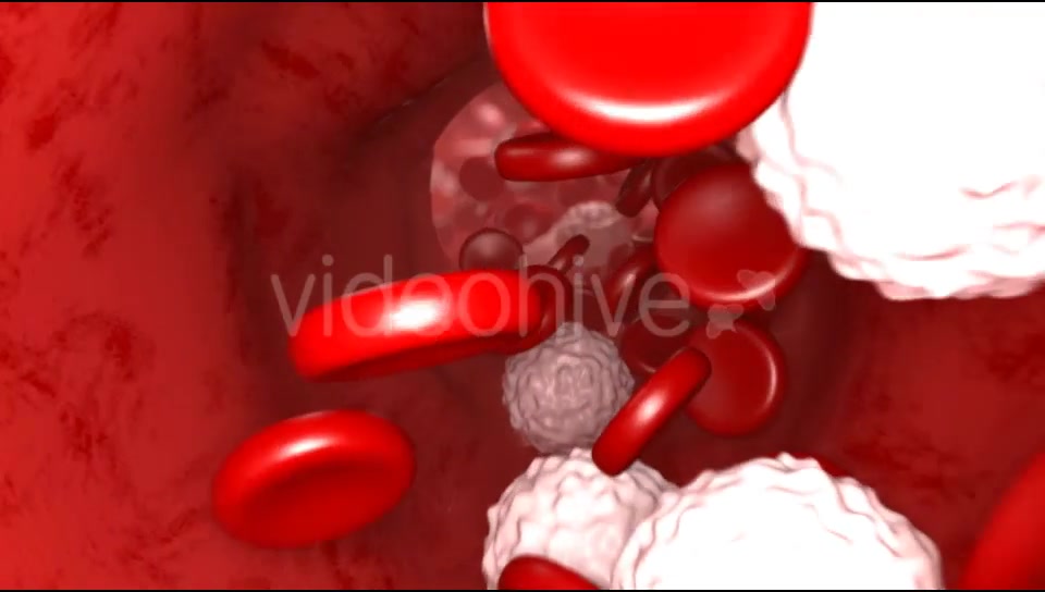 Blood Flow Videohive 20144474 Motion Graphics Image 6