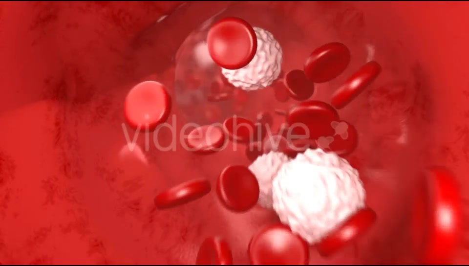 Blood Flow Videohive 20144474 Motion Graphics Image 7