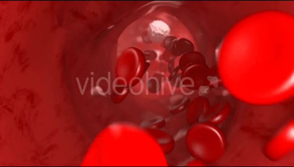 Blood Flow Videohive 20144474 Motion Graphics Image 8