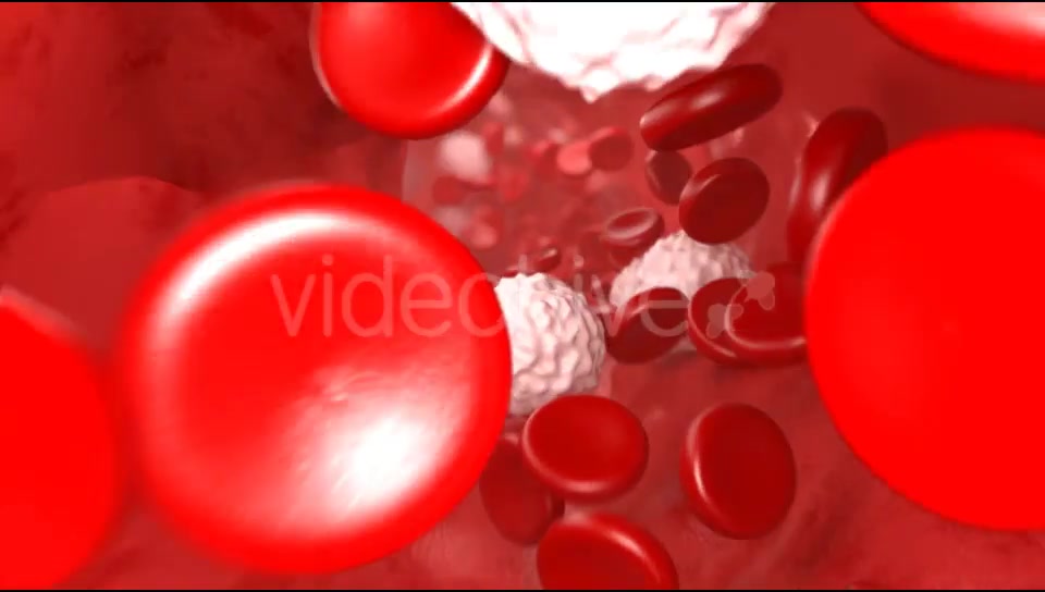 Blood Flow Videohive 20144474 Motion Graphics Image 9