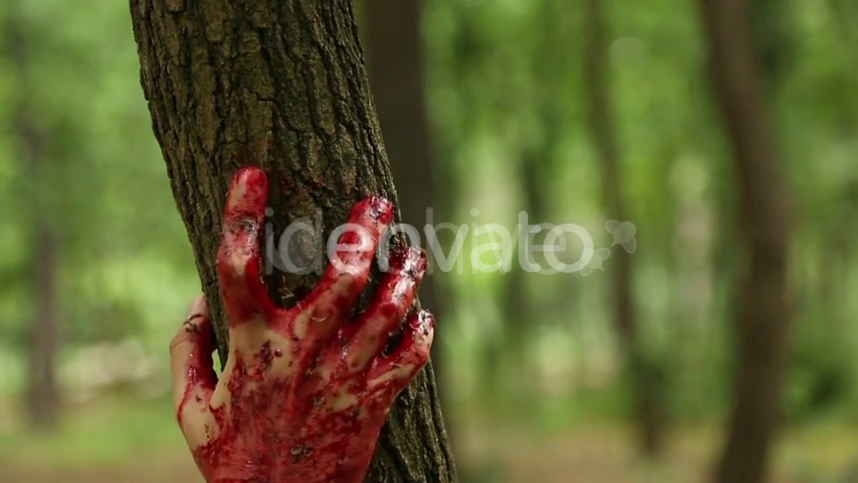 Blood Transitions Videohive 22973911 Motion Graphics Image 9