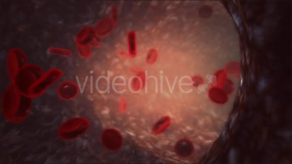Blood Vessel Videohive 13066260 Motion Graphics Image 1
