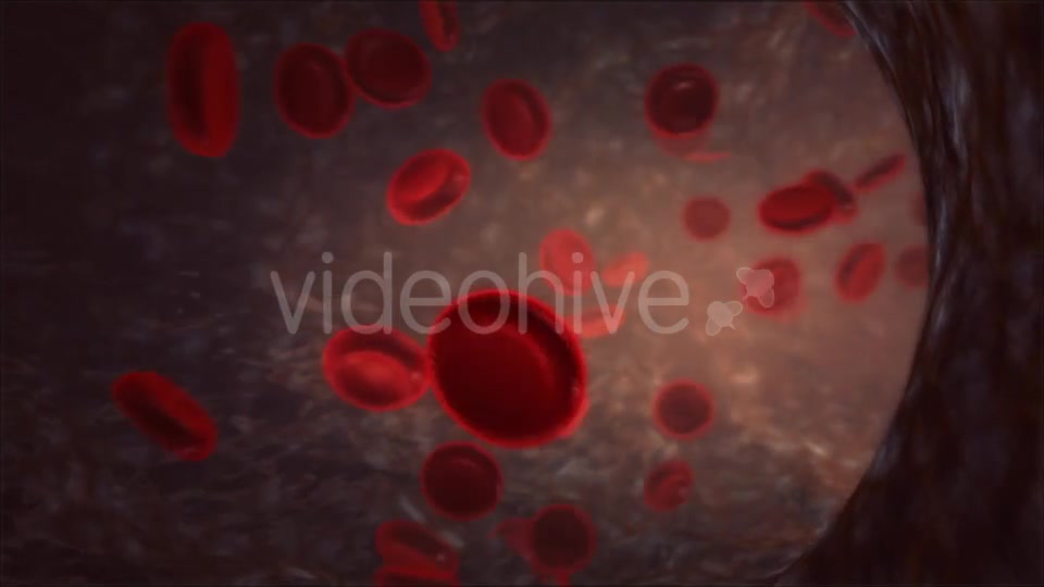 Blood Vessel Videohive 13066260 Motion Graphics Image 10