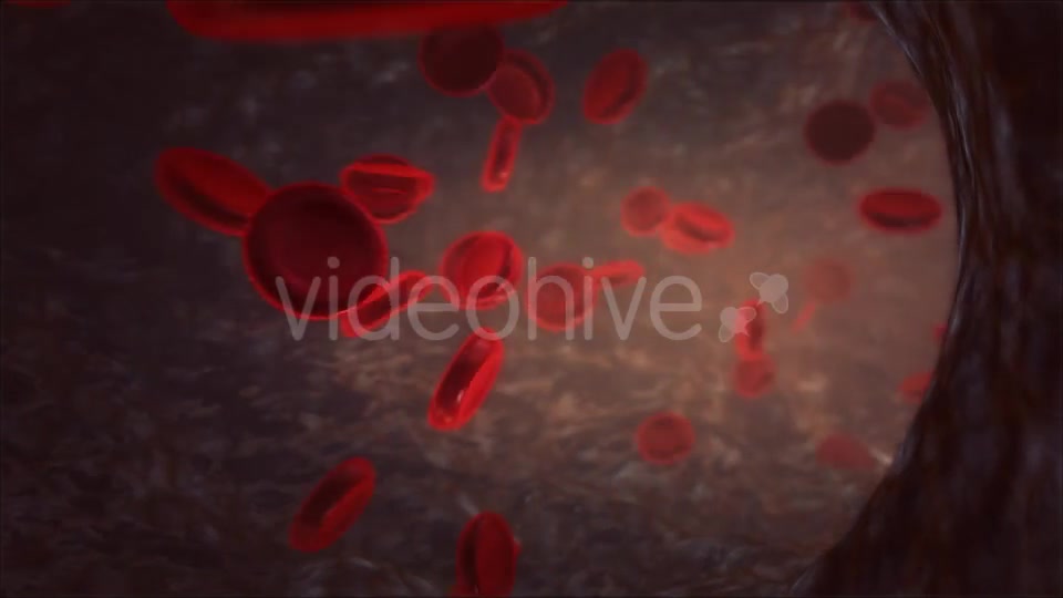 Blood Vessel Videohive 13066260 Motion Graphics Image 11