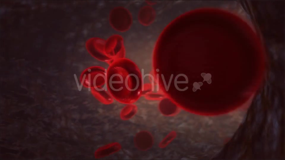 Blood Vessel Videohive 13066260 Motion Graphics Image 12