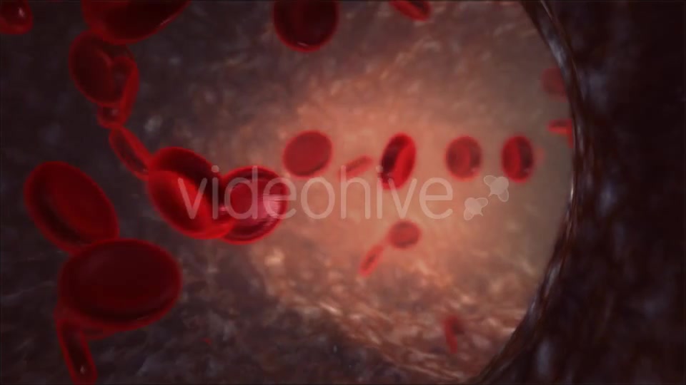 Blood Vessel Videohive 13066260 Motion Graphics Image 2