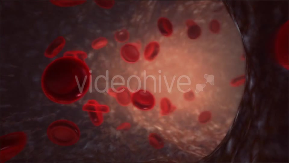 Blood Vessel Videohive 13066260 Motion Graphics Image 4