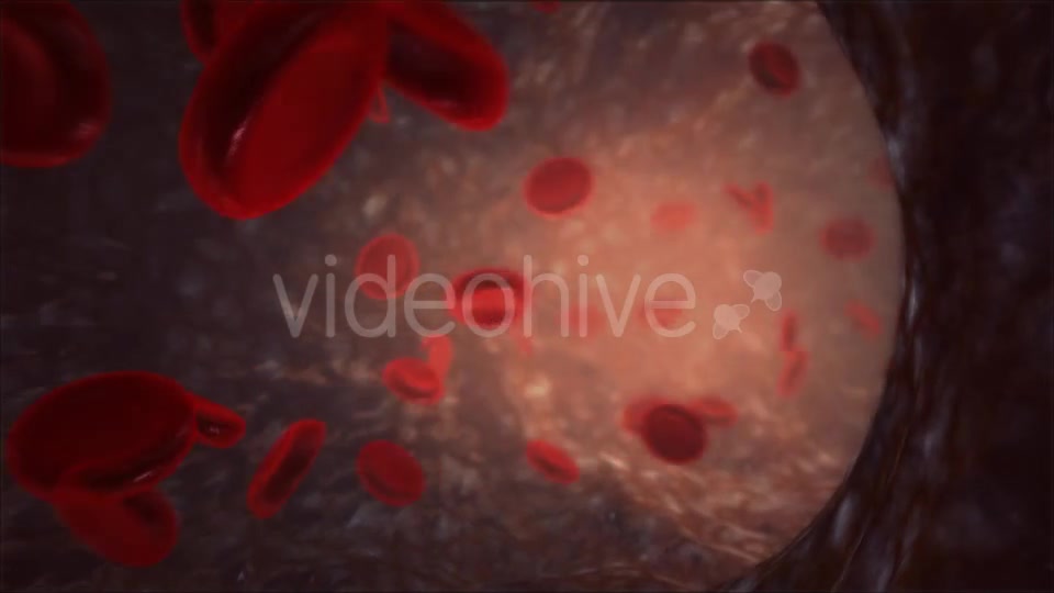 Blood Vessel Videohive 13066260 Motion Graphics Image 5