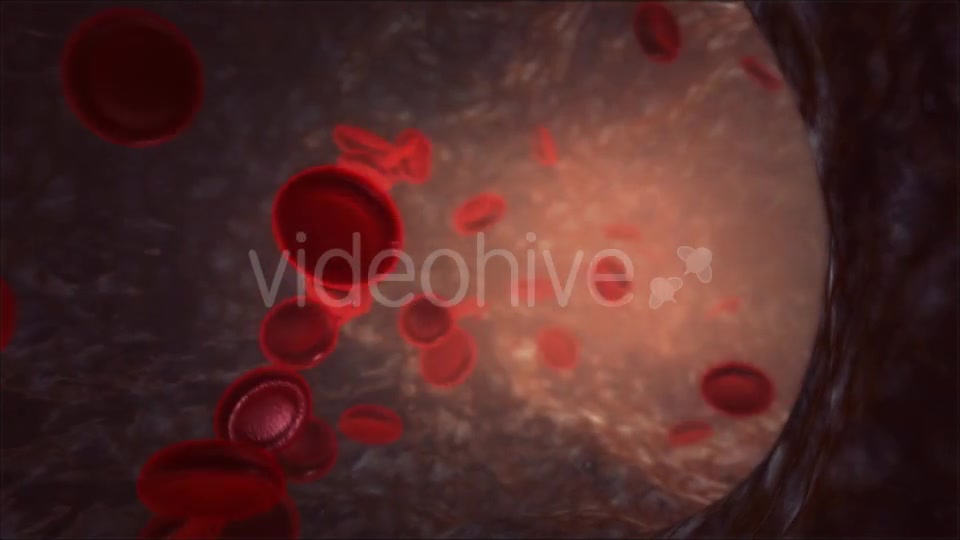 Blood Vessel Videohive 13066260 Motion Graphics Image 6