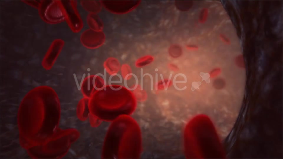 Blood Vessel Videohive 13066260 Motion Graphics Image 7